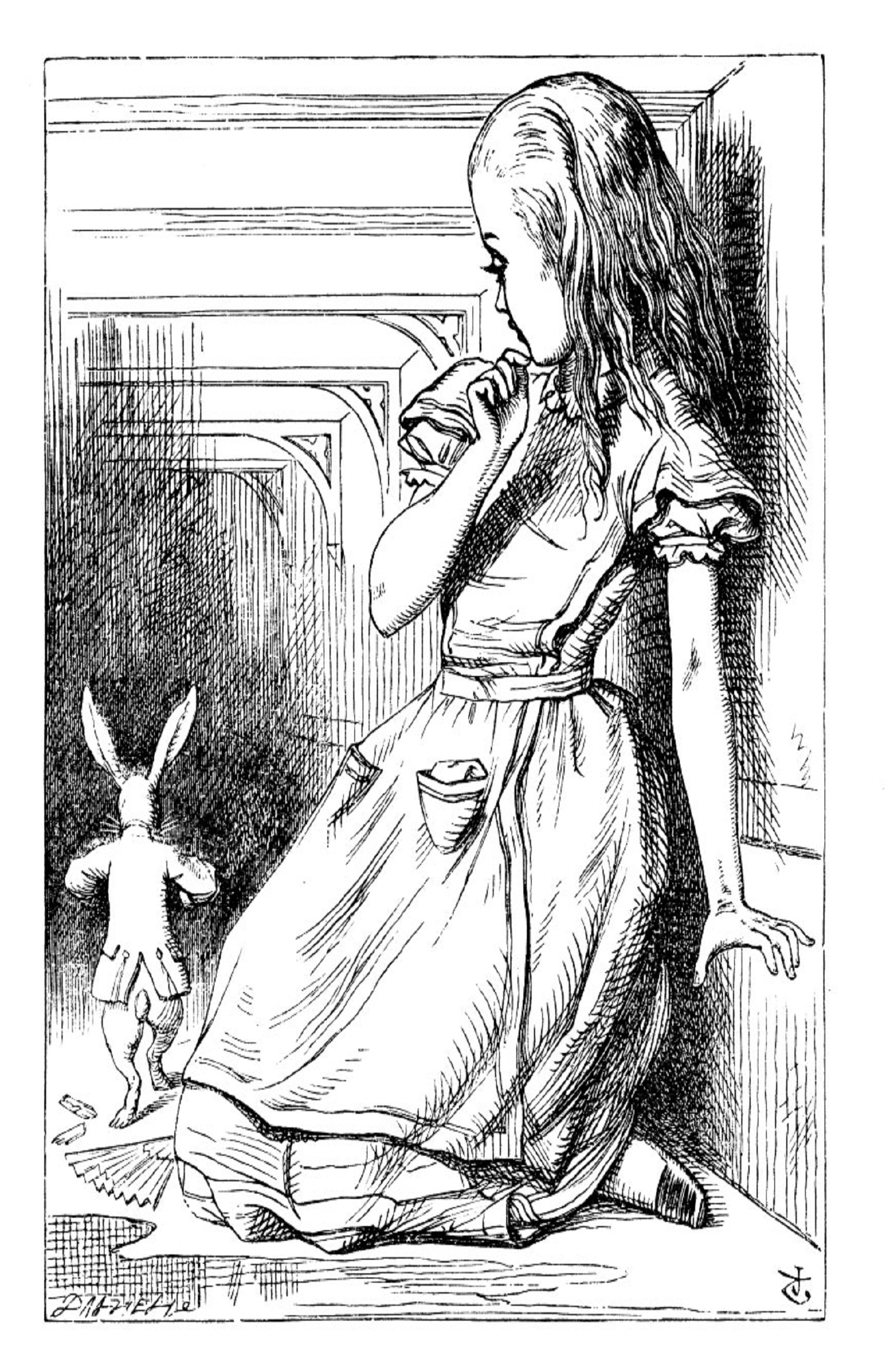 Alice with Rabit