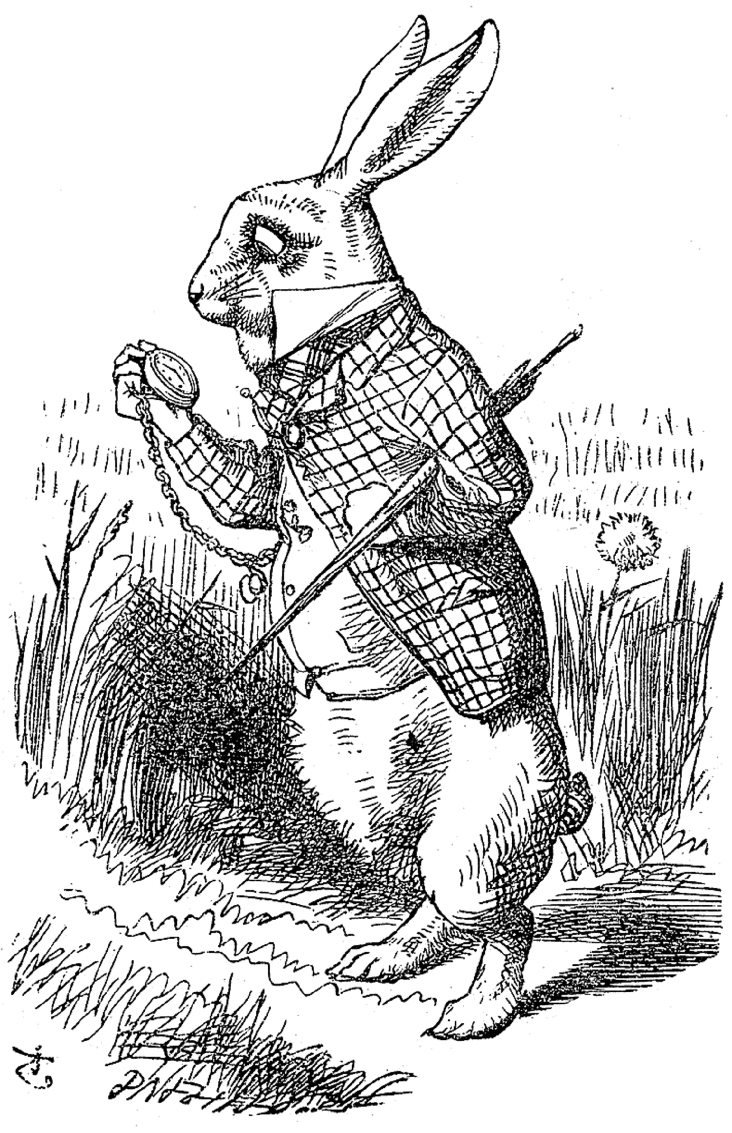 Rabit